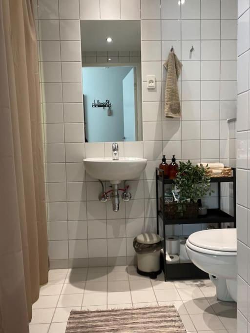 Modern In Orestad Appartement Copenhague